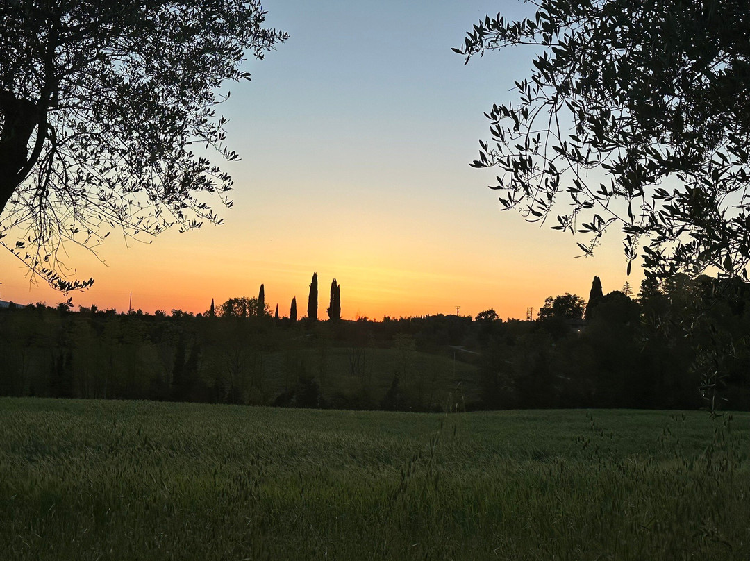 Crete Senesi-阿夏诺必去景点