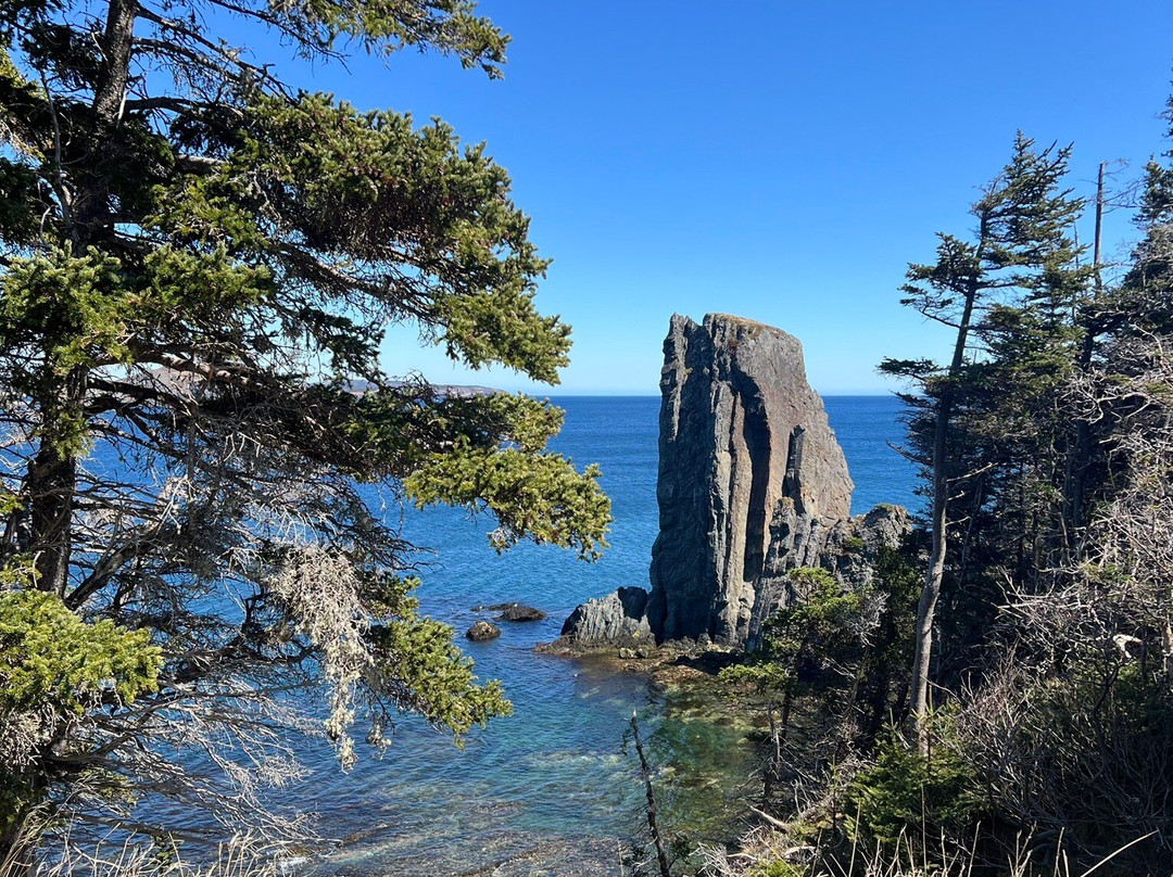 Sherwood Suites主图