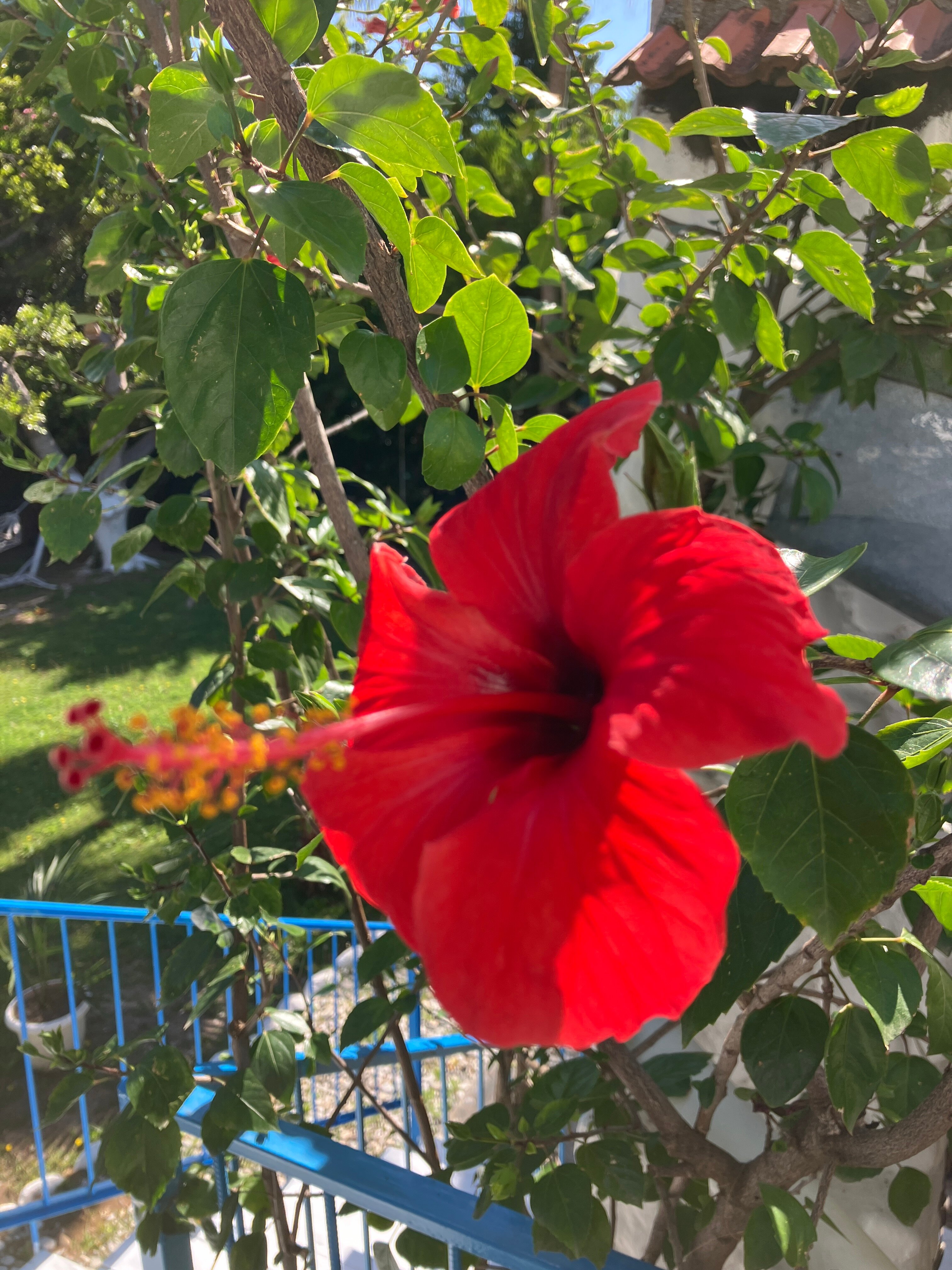 Harun Pansiyon-浴室