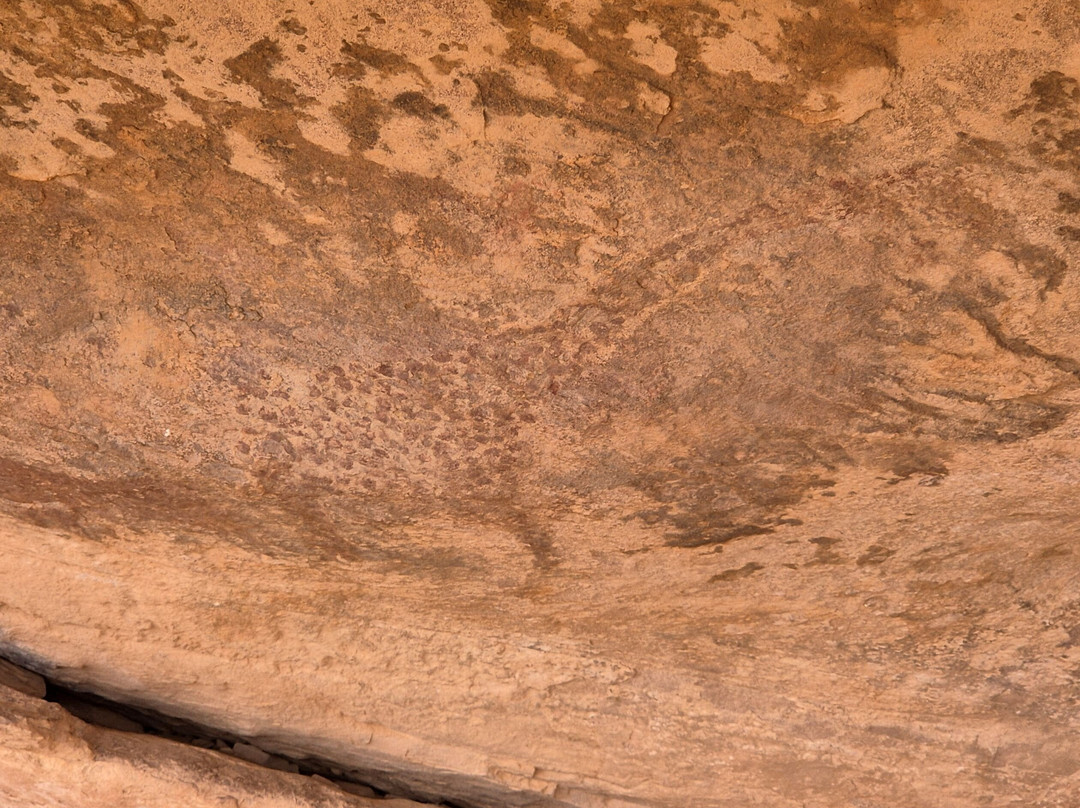 Mauritania Sahara-Boutilimit必去景点