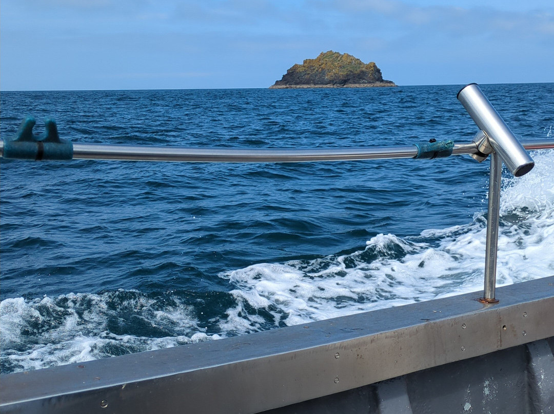 Fishing Trips From Rock-Rock必去景点