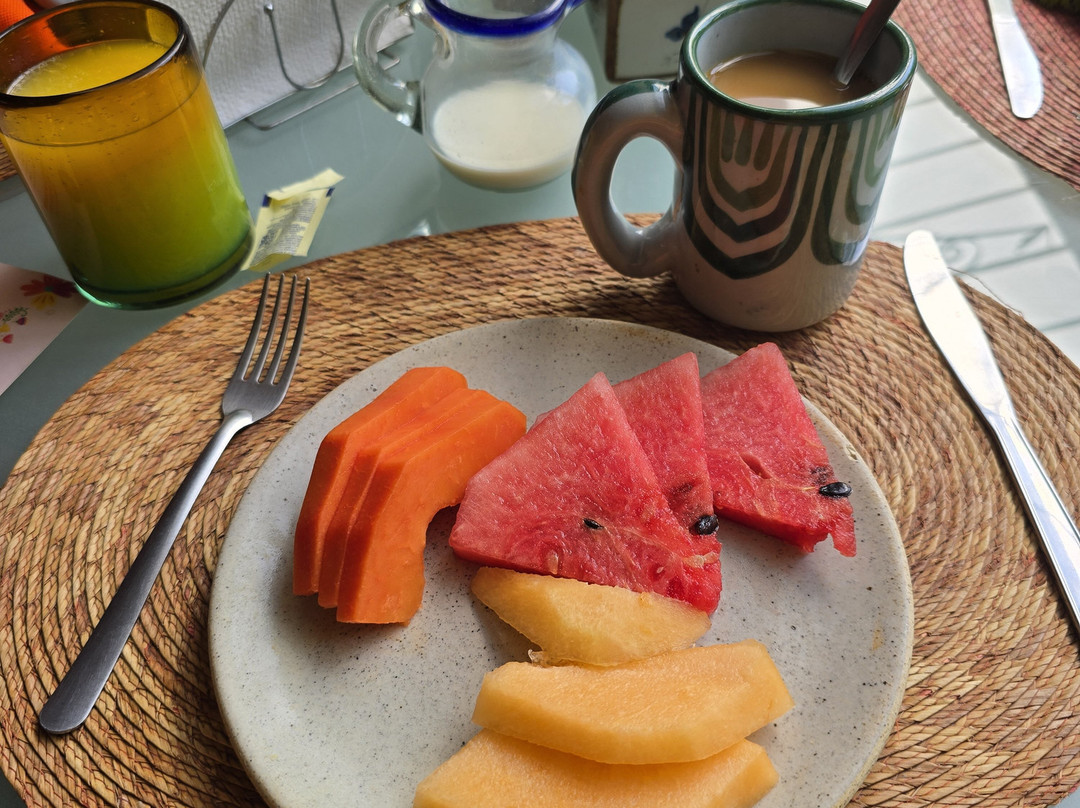 Quinta Don Jose Boutique Hotel主图