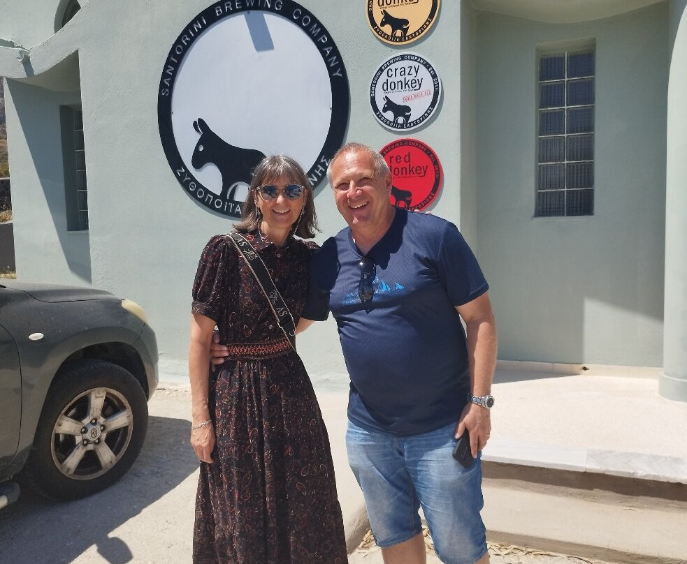 Van of Fame-圣托里尼必去景点