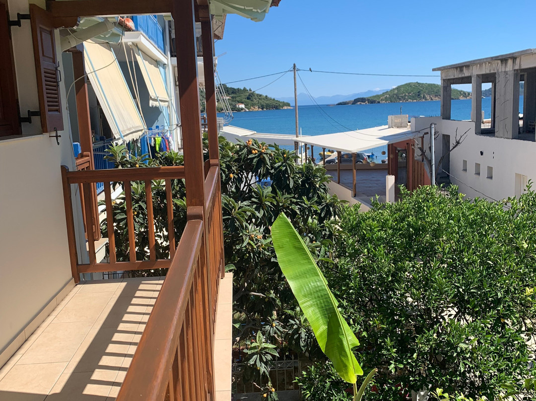 Pansion Matoula主图