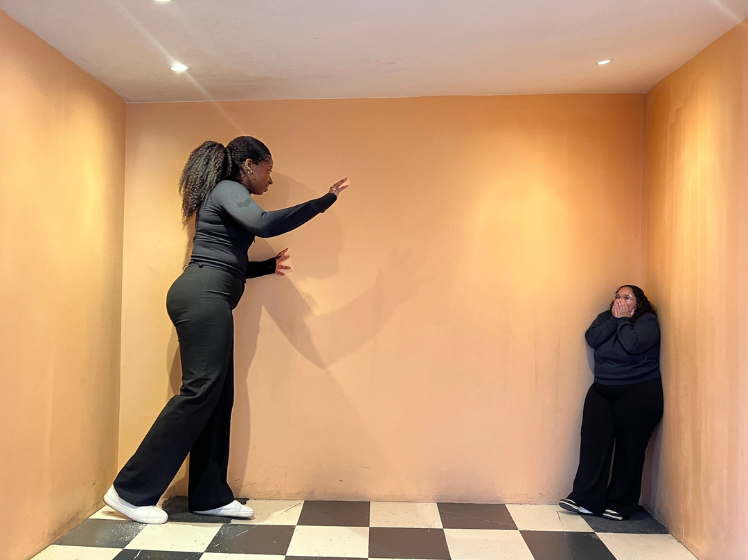 Illusion Brussels