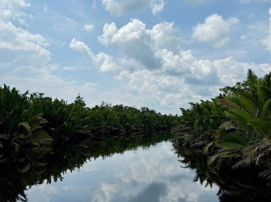 Orangutan Trekking Tours-Pangkalan Bun必去景点