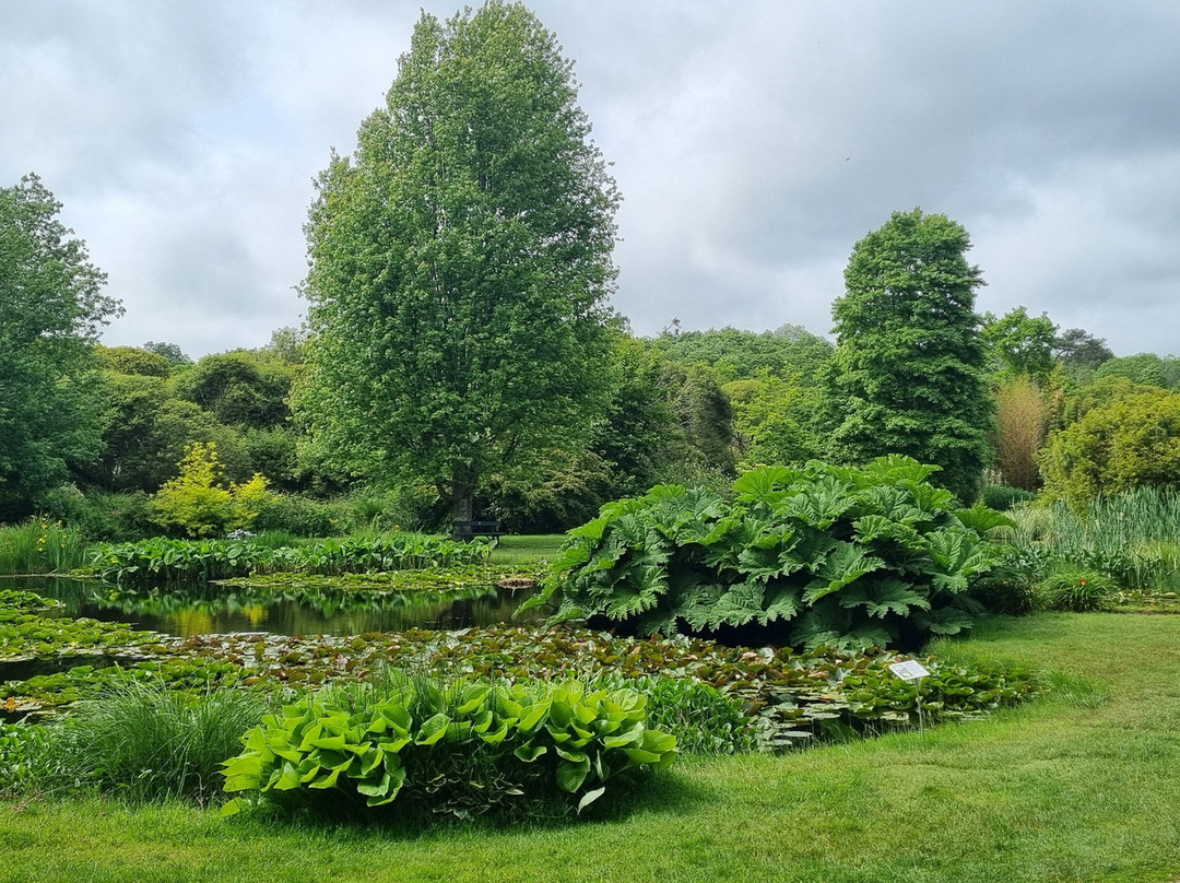 Parc Botanique de Cornouaille景点图片