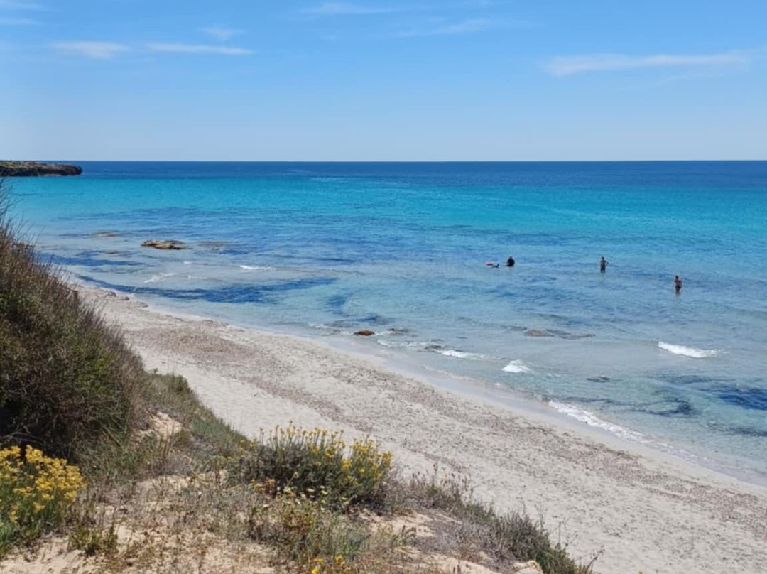 Playa De Binigaus-Migjorn Gran必去景点