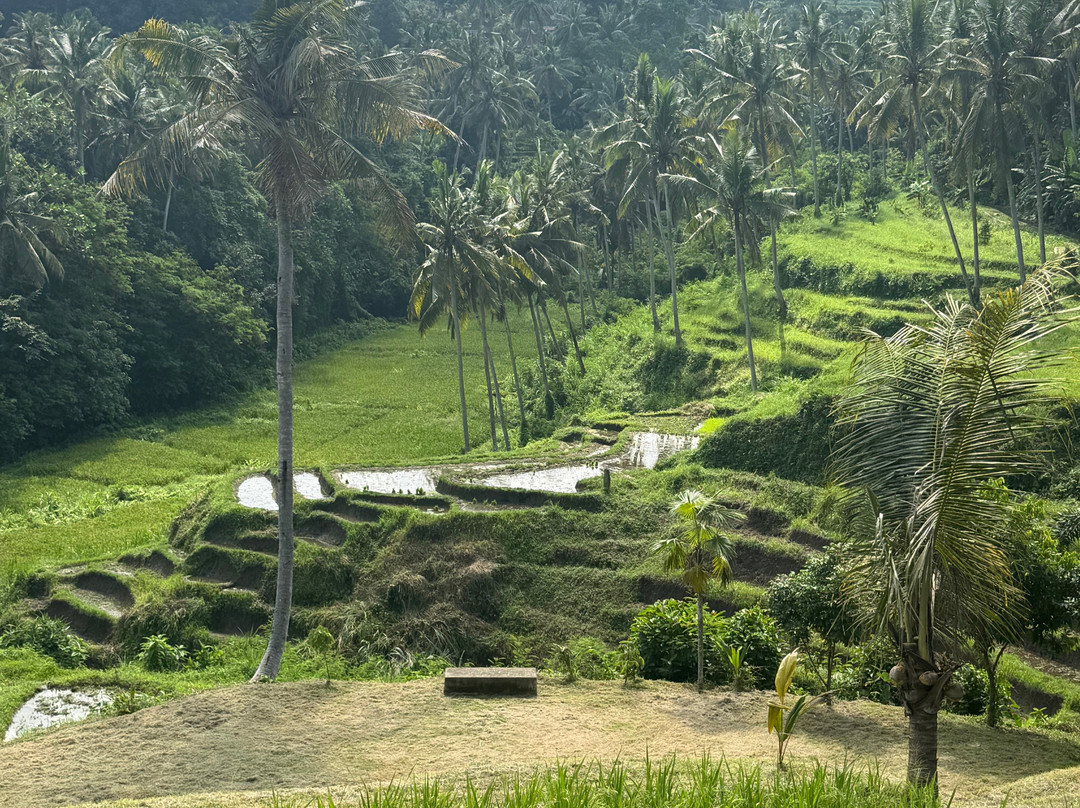 Bali Hai Adventure Tours景点图片