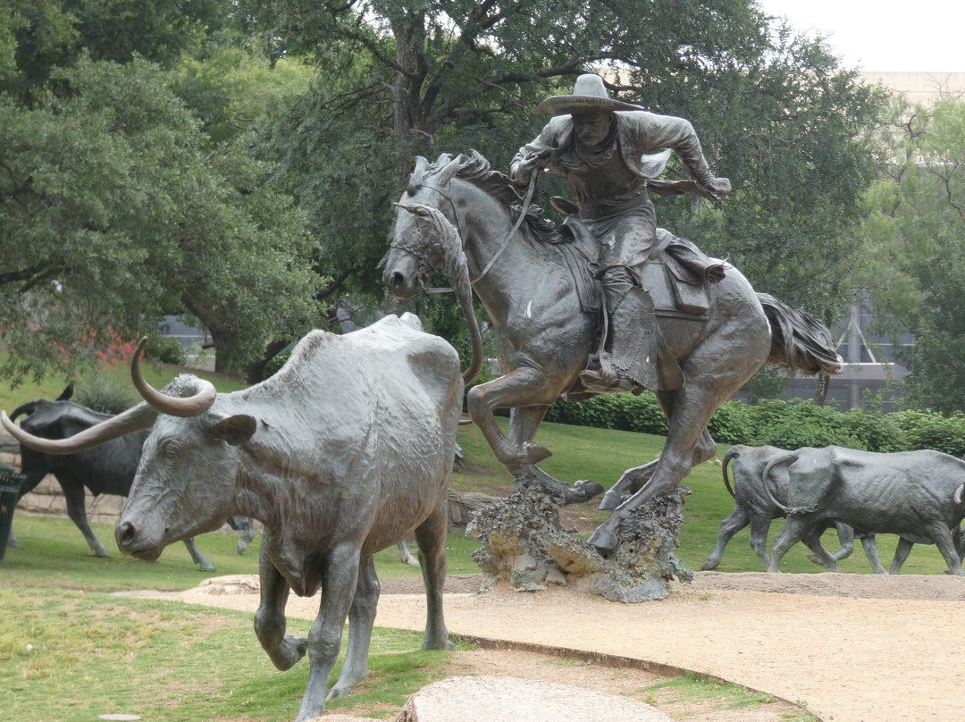 Dallas Cattle Drive Sculptures-达拉斯必去景点