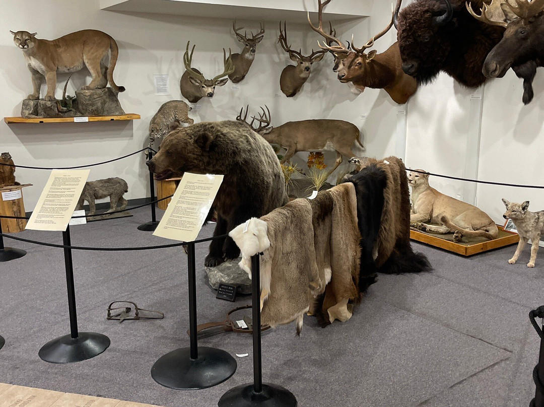 Teton Valley Museum-德里格斯必去景点