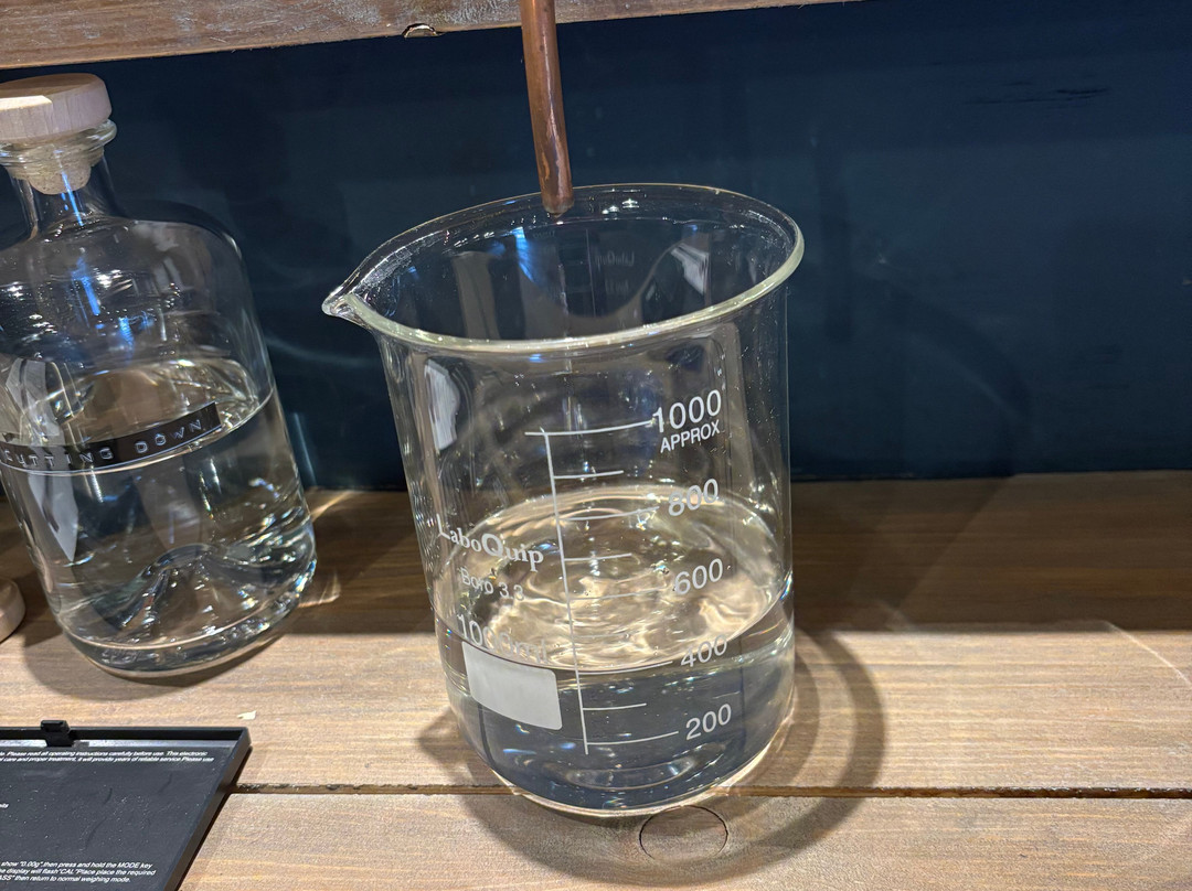 The Henley Distillery Gin Experience景点图片