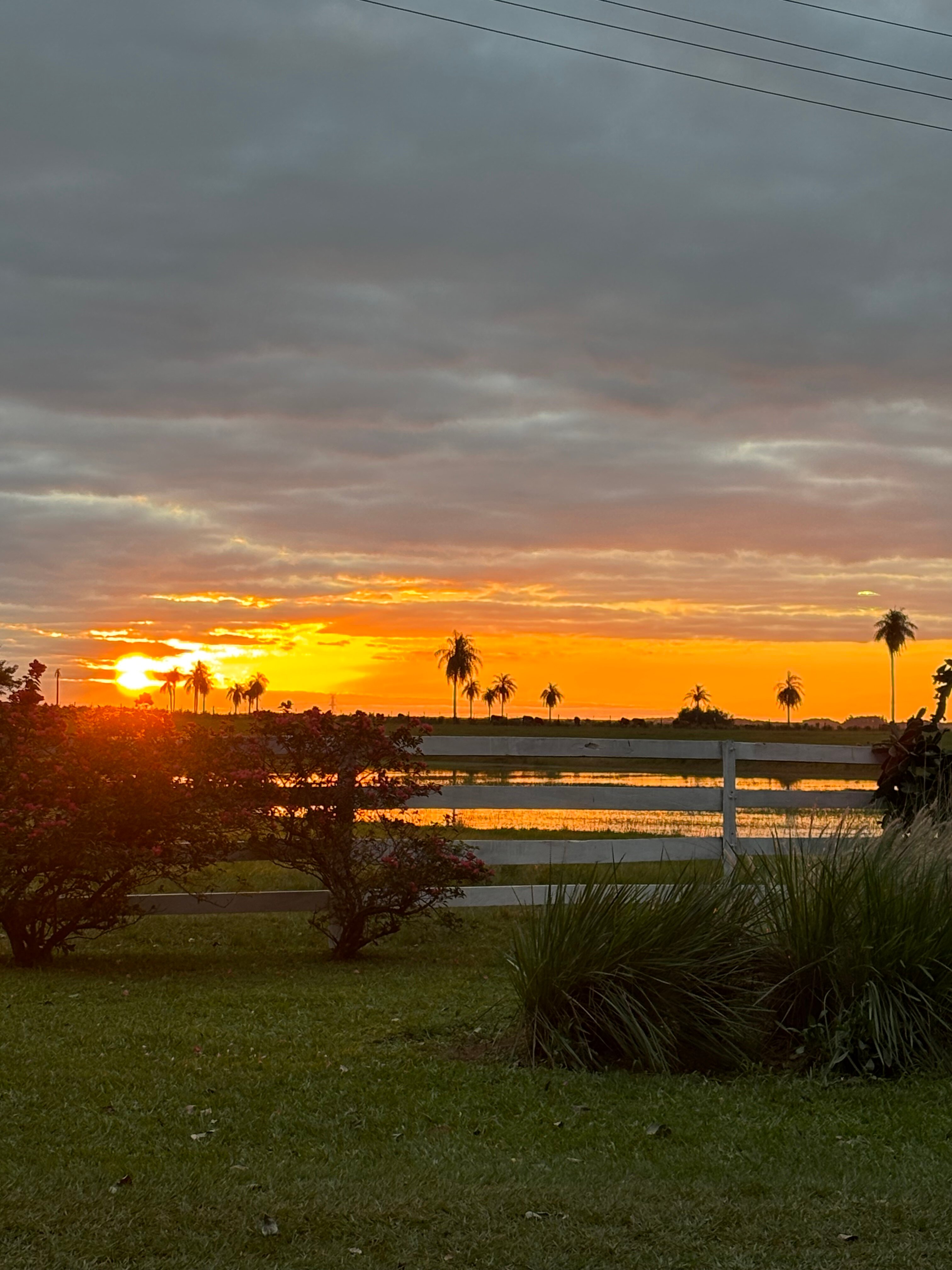 Estancia Tacuaty-官方