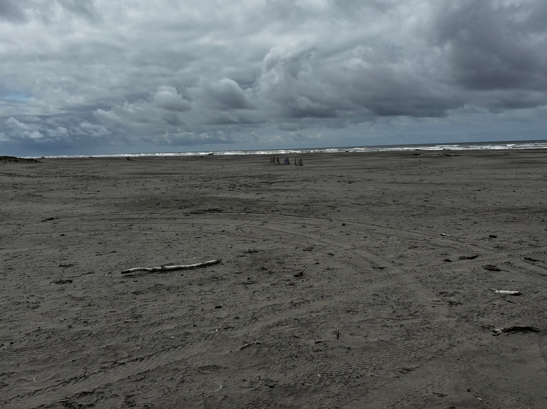 Long Beach景点图片