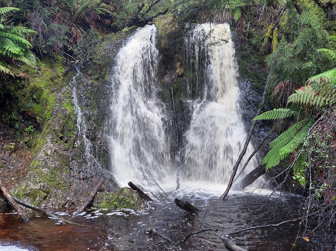Hogarth Falls-斯特拉恩必去景点