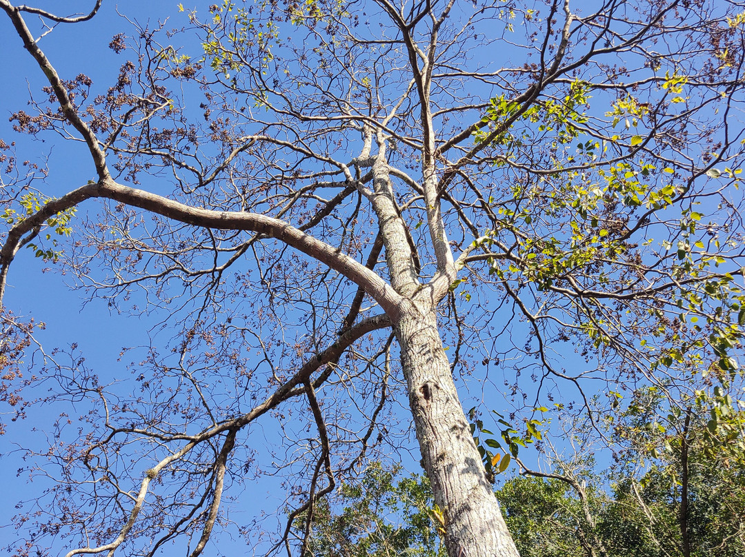 Vinícola XV de Novembro-Sao Roque必去景点