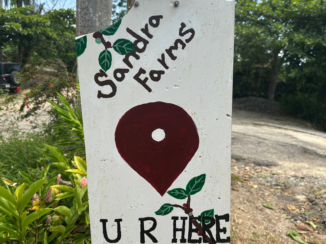 Sandra Farms Coffee-Adjuntas必去景点