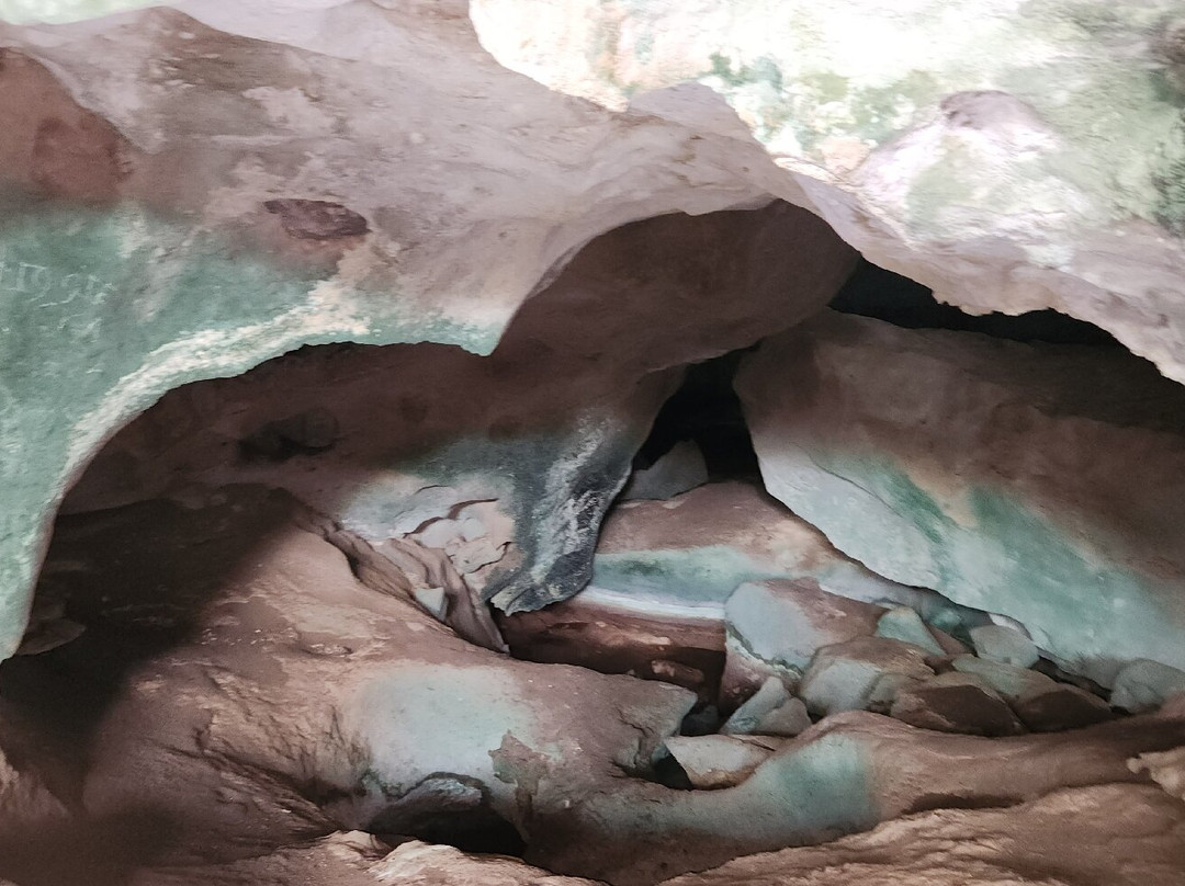 Conch Bar Caves-Conch Bar必去景点