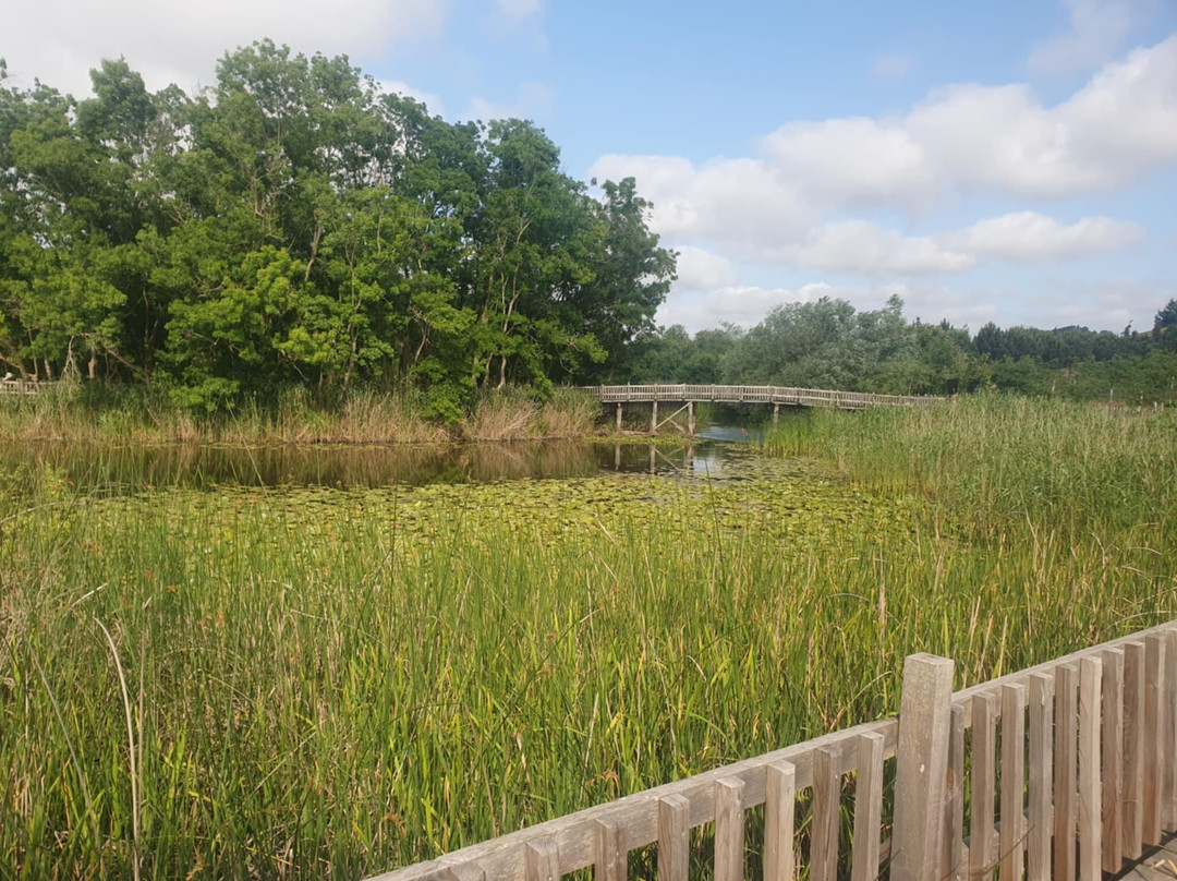 Acarlar Floodplain Forest景点图片