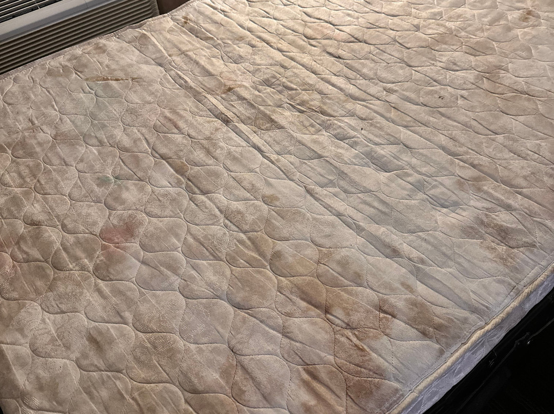 Comfort Suites Pineville - Ballantyne Area主图