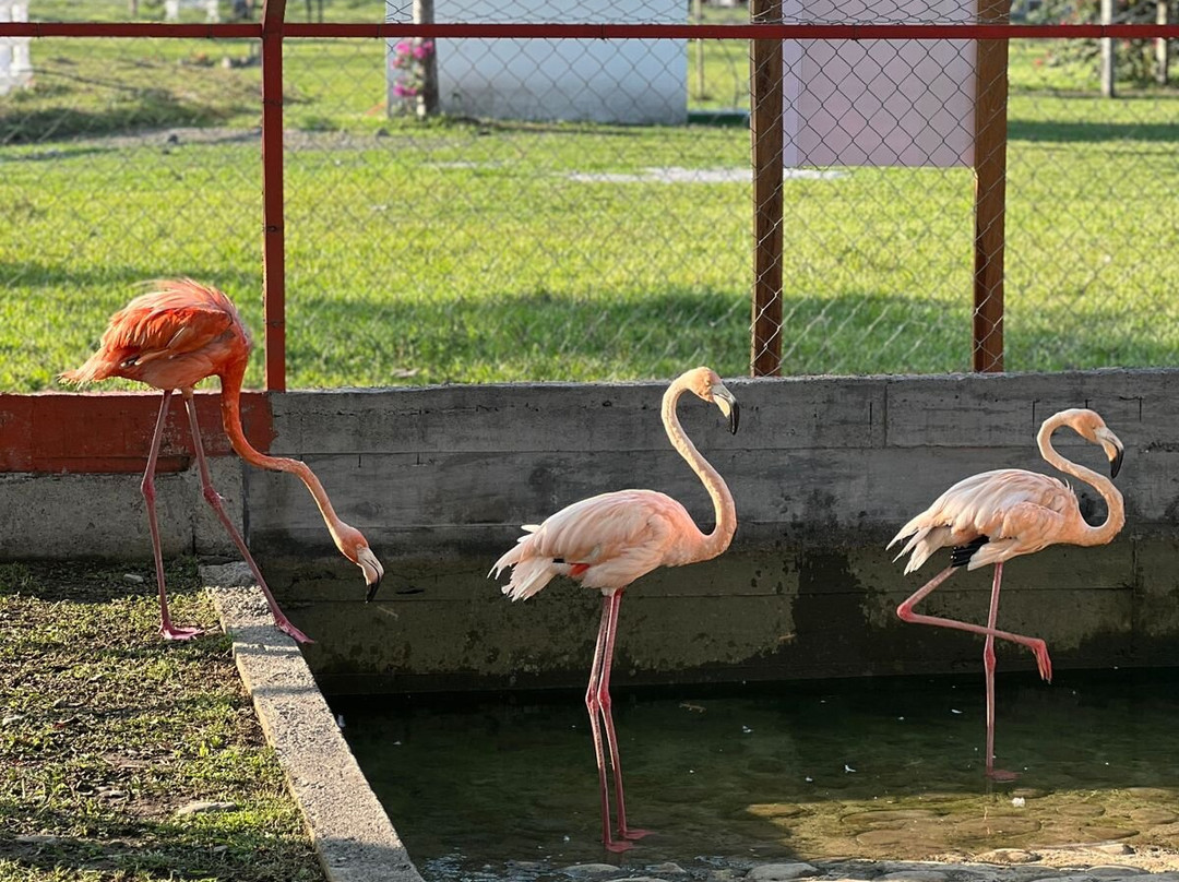 Granja Animalia-Xicotepec de Juarez必去景点