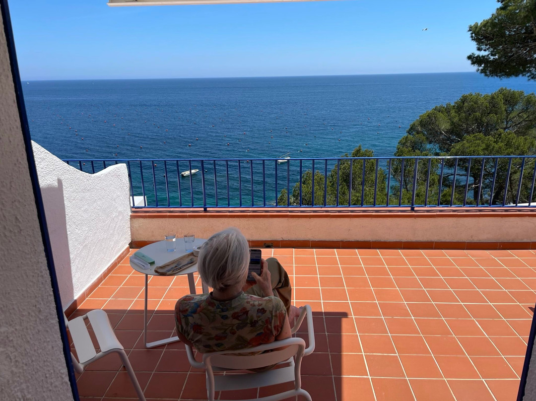 Hotel Sant Roc主图