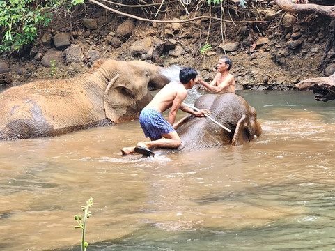 Cambodia Private Car Taxi Driver-金边必去景点