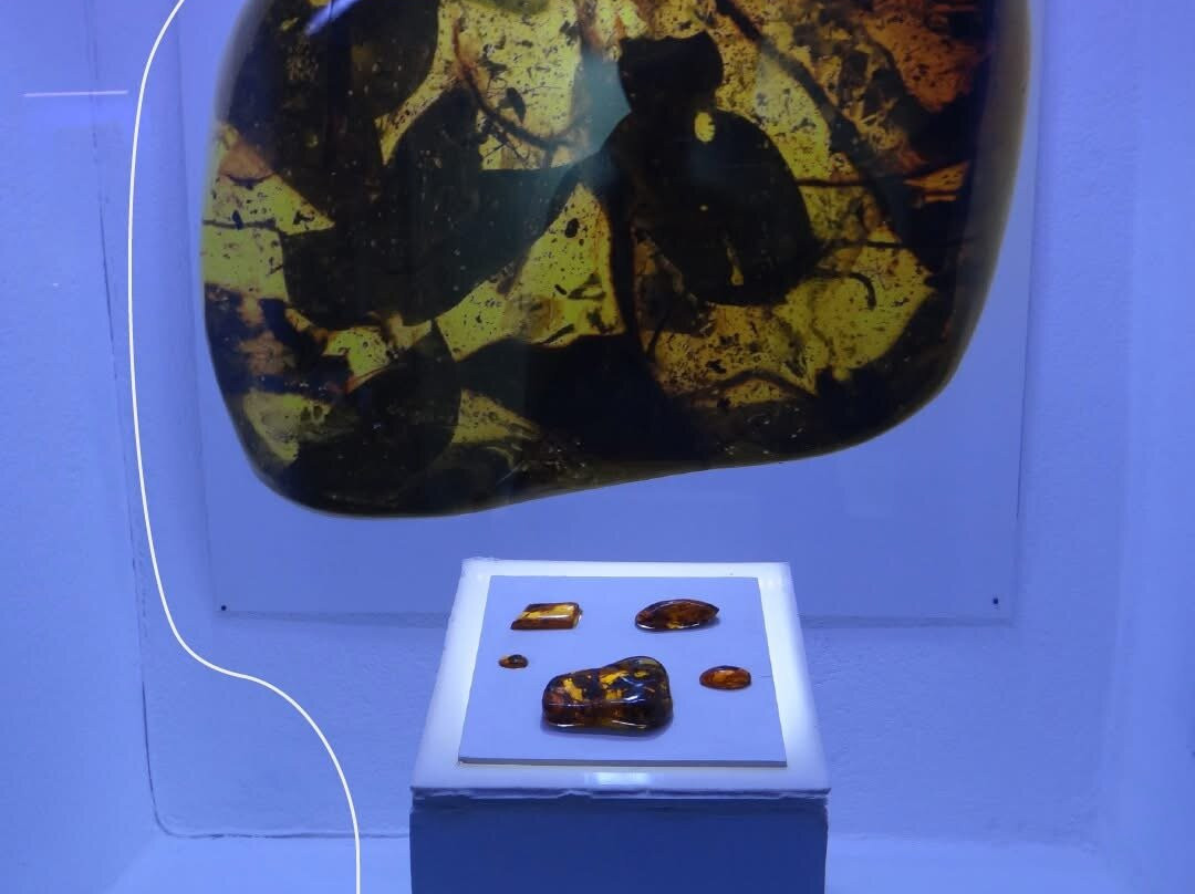 Dominican Amber Museum-普拉塔港必去景点