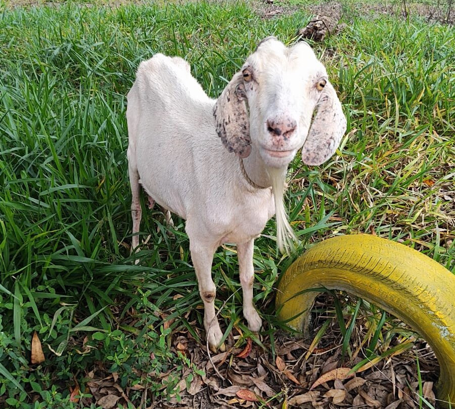 La Mesa de los Santos-Los Santos必去景点