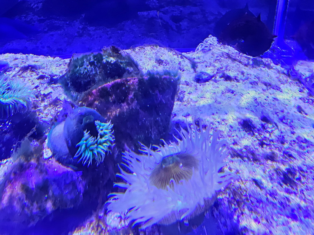 Baymont by Wyndham Sioux Falls主图