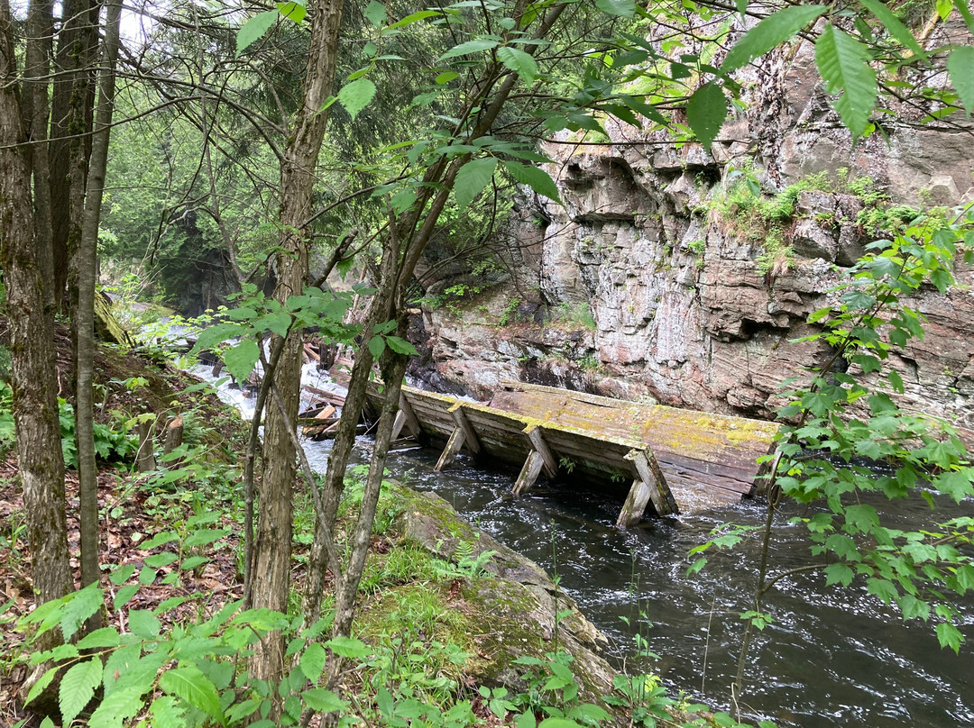 Hawk Lake Log Chute景点图片