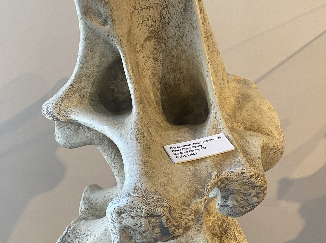 Utah Field House Of Natural History State Park Museum-Vernal必去景点