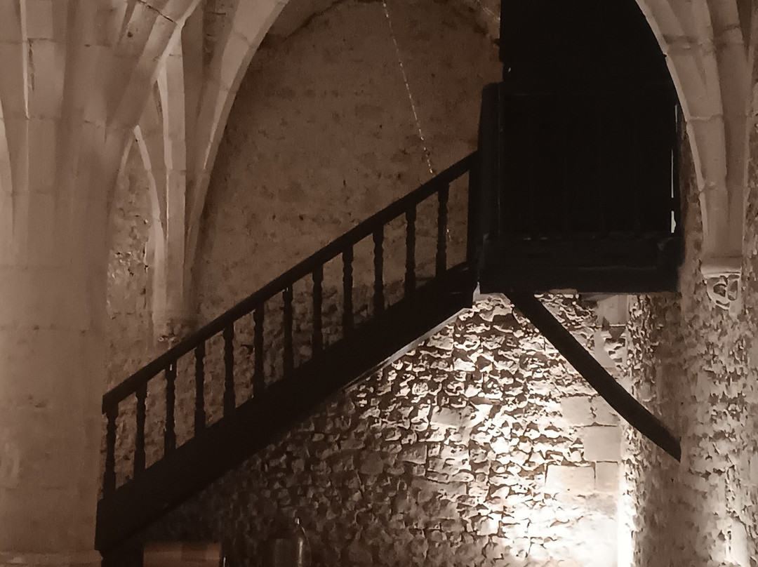 Chateau de Montmirail景点图片