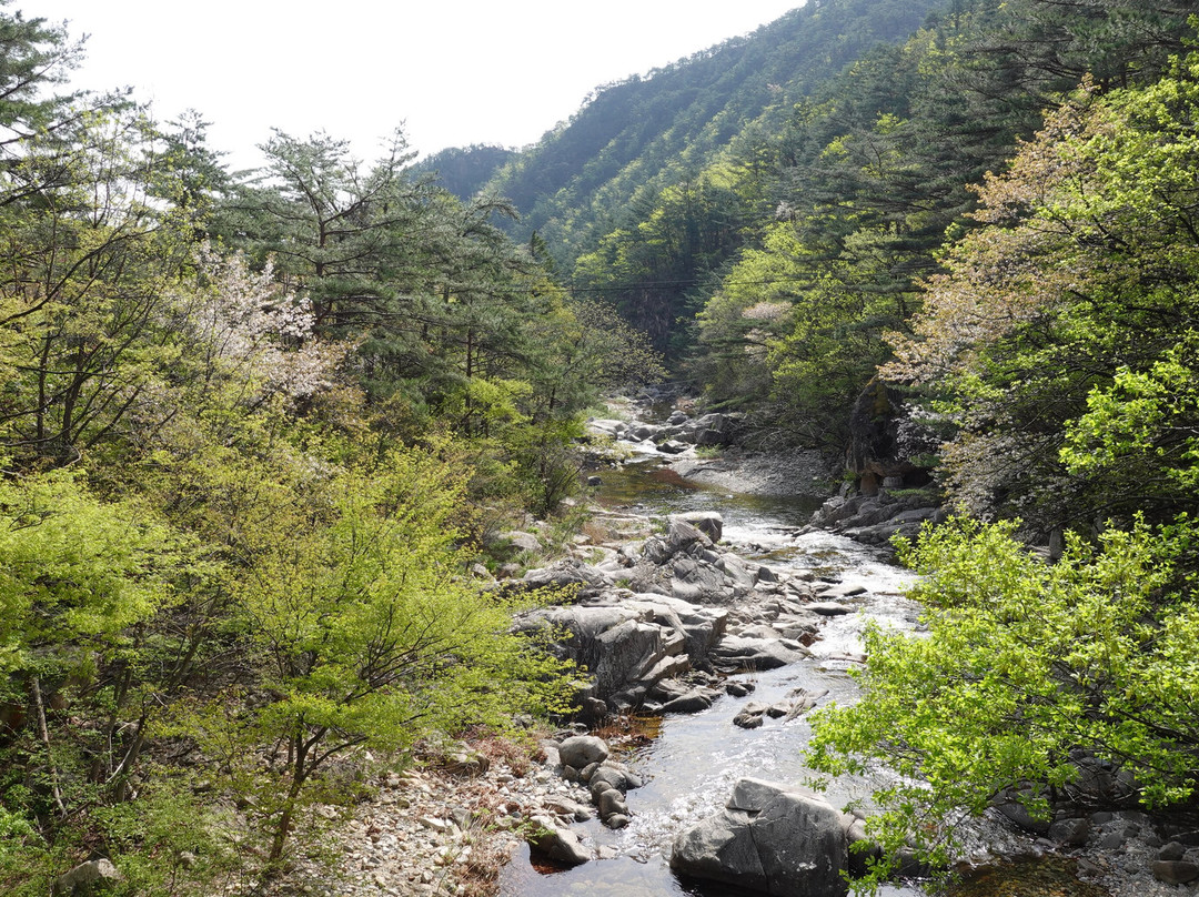 Mureung Valley-东海市必去景点