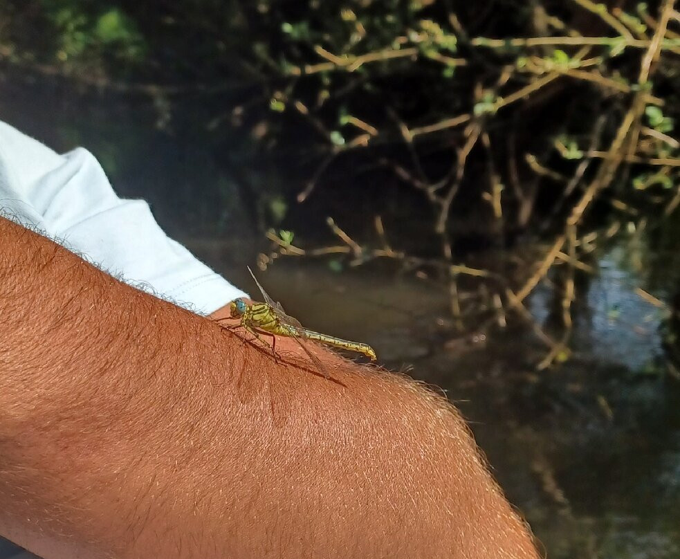 Le Courant d'Huchet-Leon必去景点