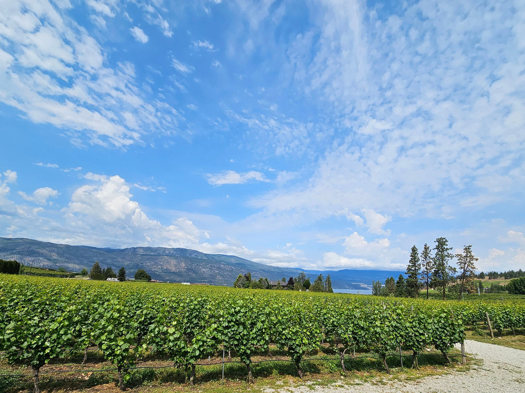 Peak Cellars-Lake Country必去景点