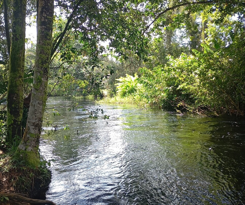 Crique Gabriel-卡宴必去景点