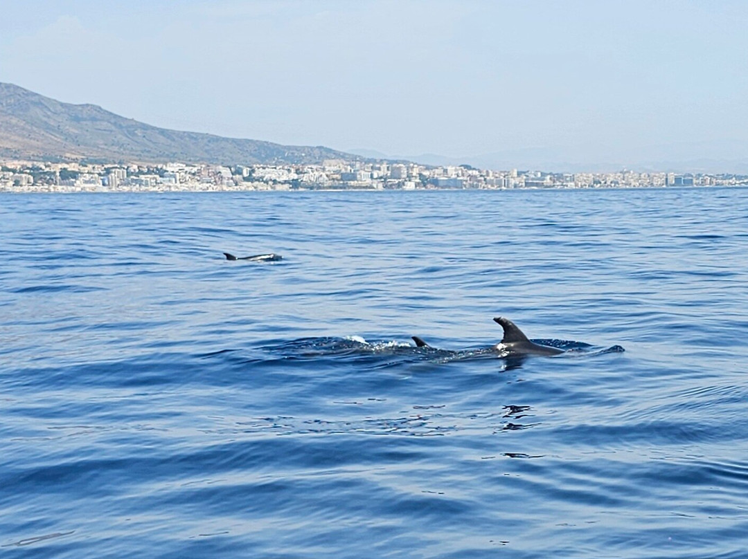 Mustang Benalmadena-班纳玛德纳必去景点
