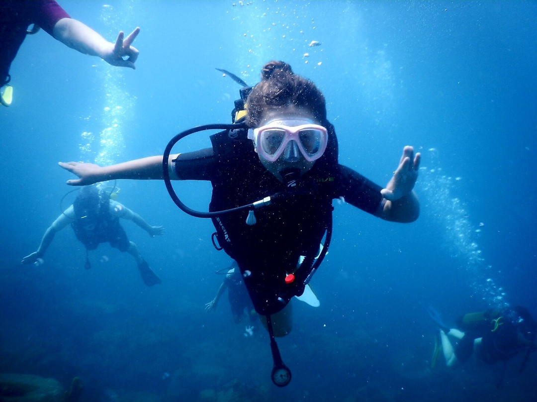 Basse-terre Plongée-Gourbeyre必去景点