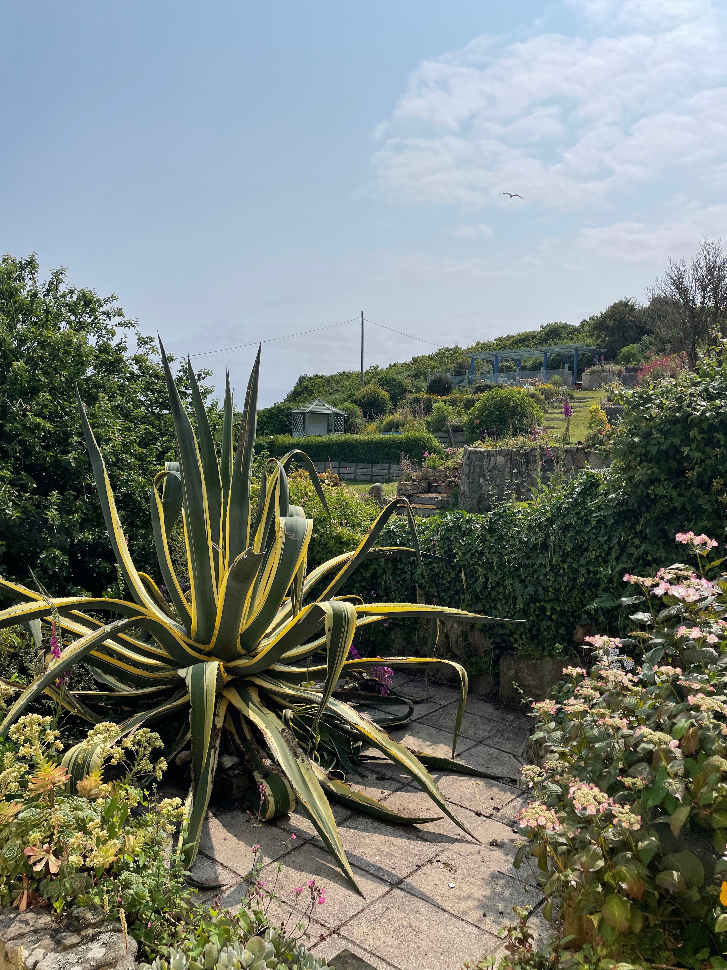 Penhallow Guest House-浴室