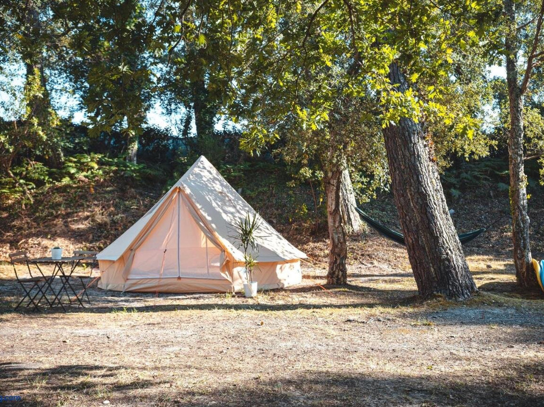 SurfCamp