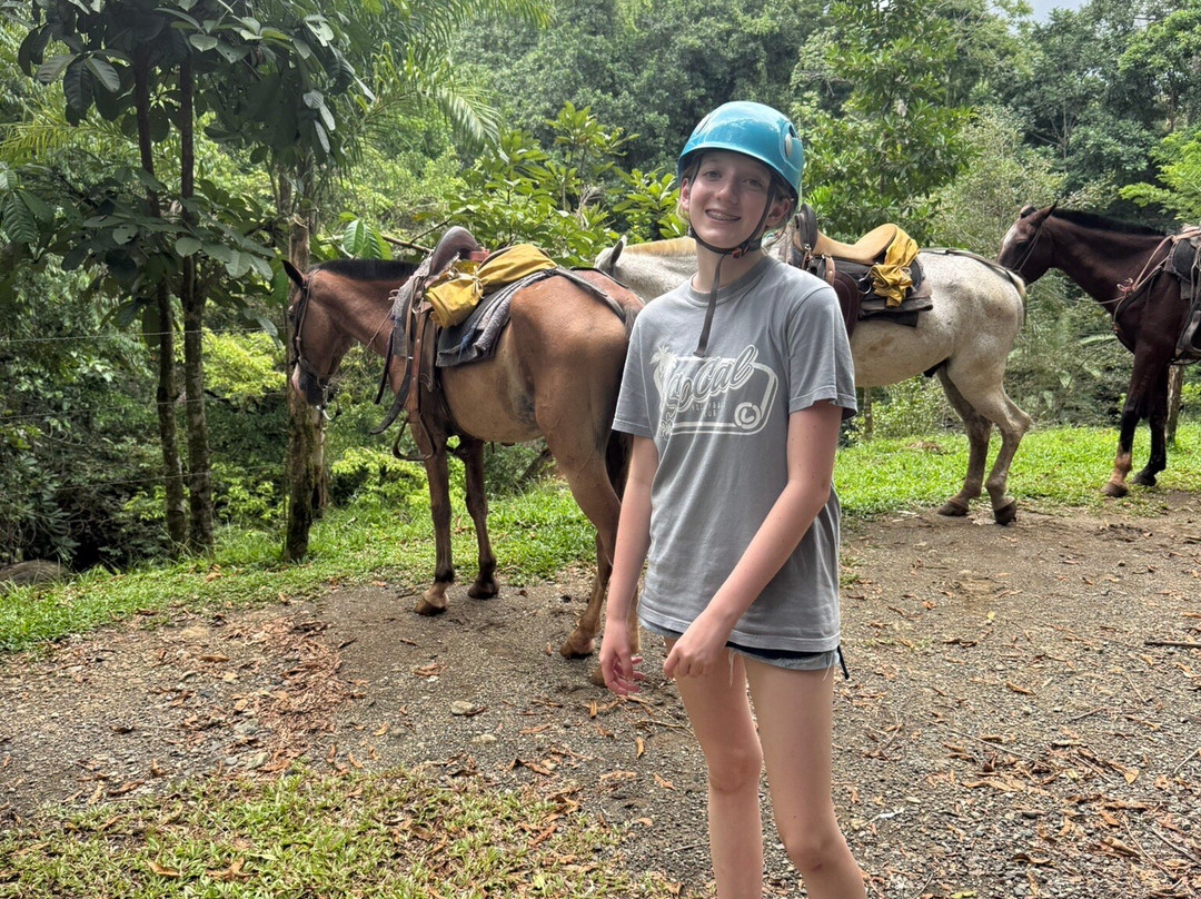 Brisas del Nara-哥斯达黎加安东尼奥国家公园必去景点