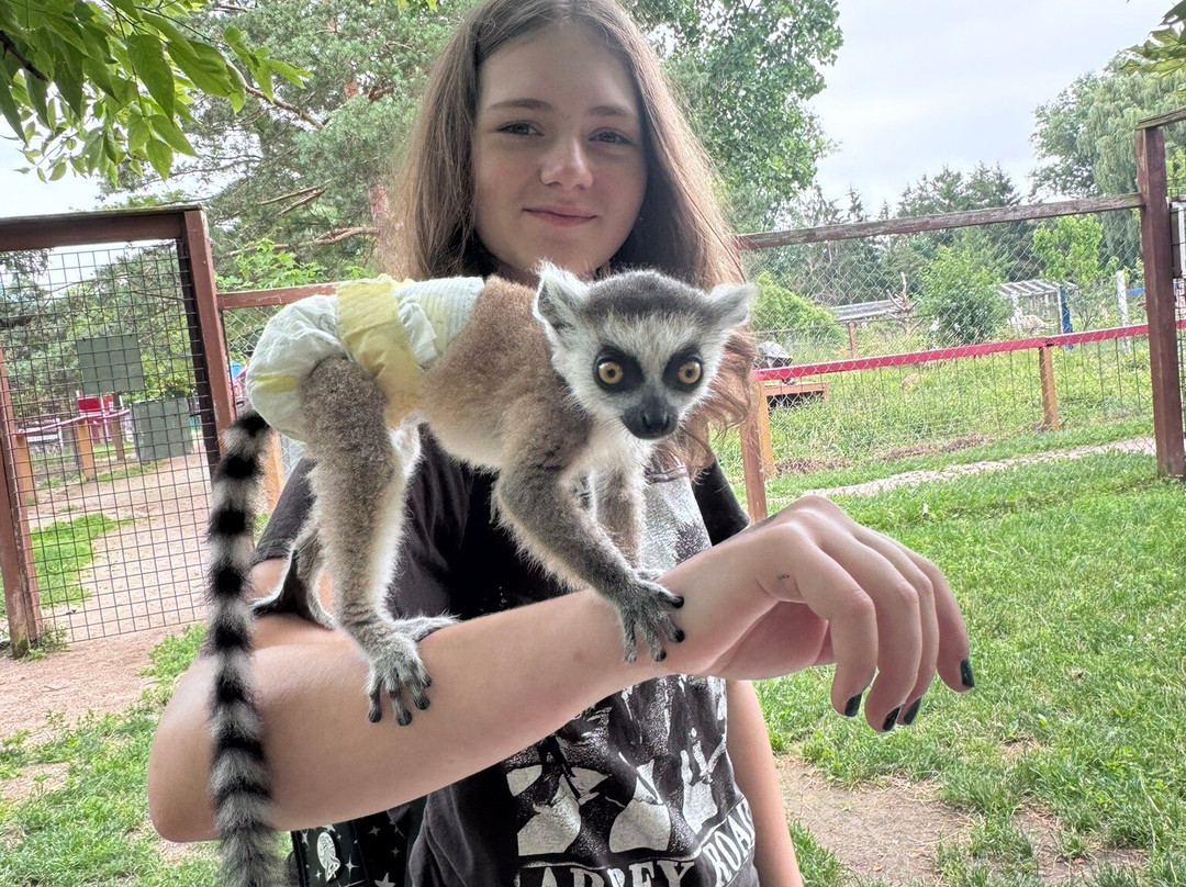 Bear Den Zoo & Petting Farm-Waterford必去景点