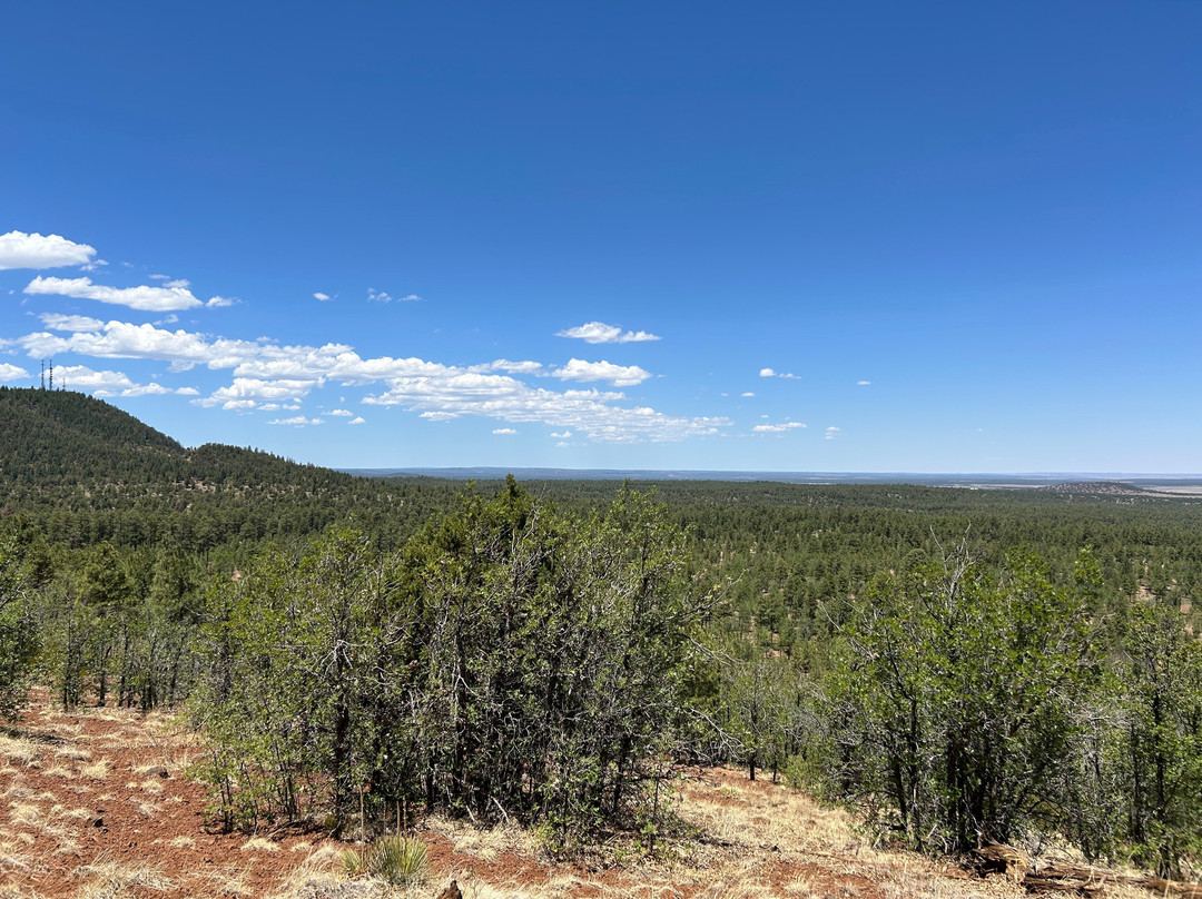 Panorama Trail-Pinetop-Lakeside必去景点