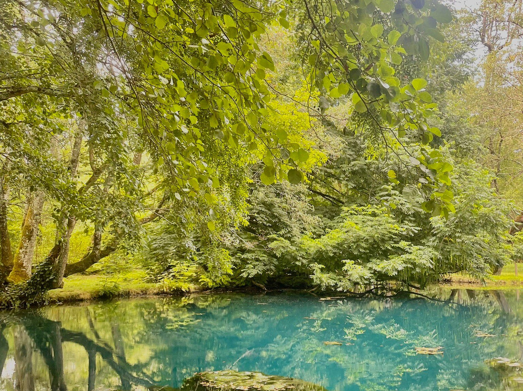 Chateau de Beaulon-Saint-Dizant-du-Gua必去景点