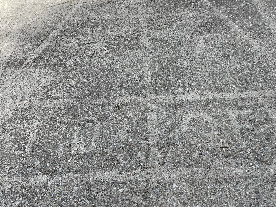 Ventfort Hall Mansion and Gilded Age Museum-莱诺克斯必去景点