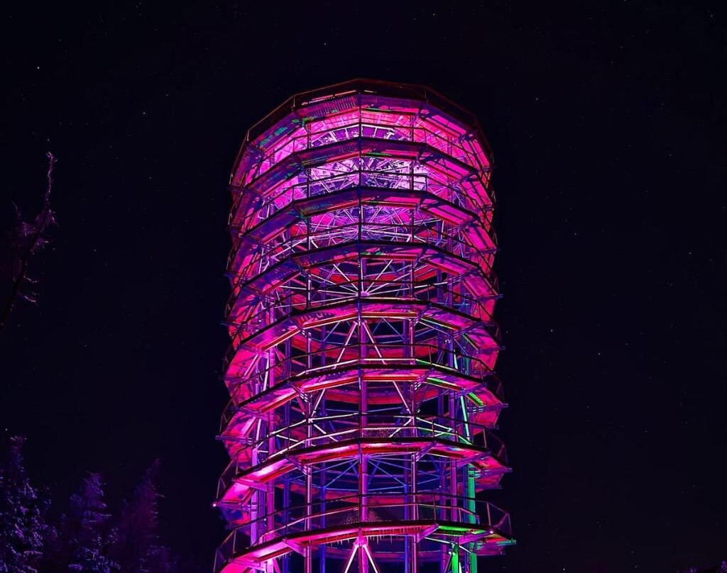 Sokolowsko酒店住宿-Apartamenty pod Dzikowcem