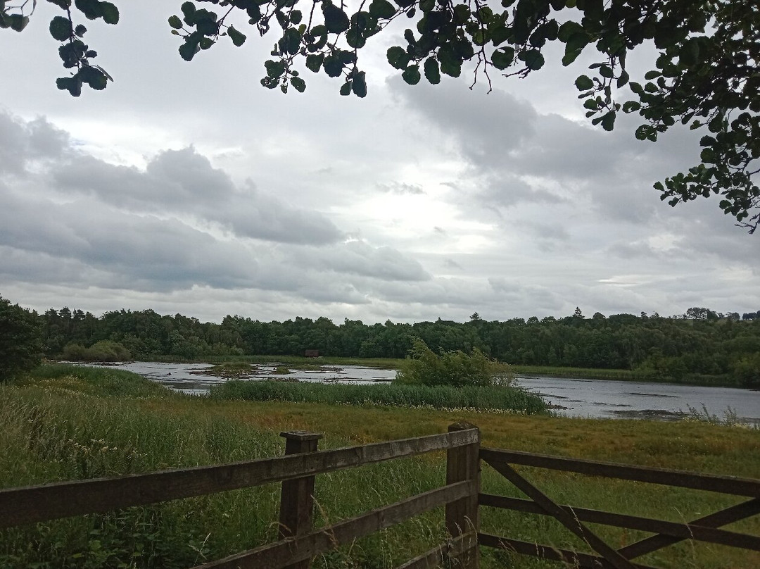 Low Barns Nature Reserve & Visitor Centre-Bishop Auckland必去景点