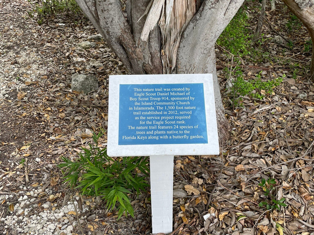 Green Turtle Hammock Nature Preserve-伊斯拉摩拉达必去景点