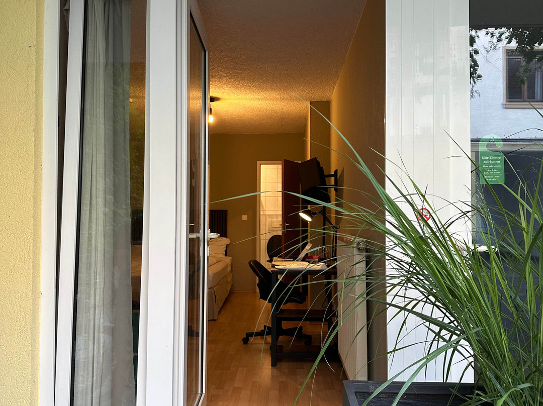 Hotel Auerstein Heidelberg主图